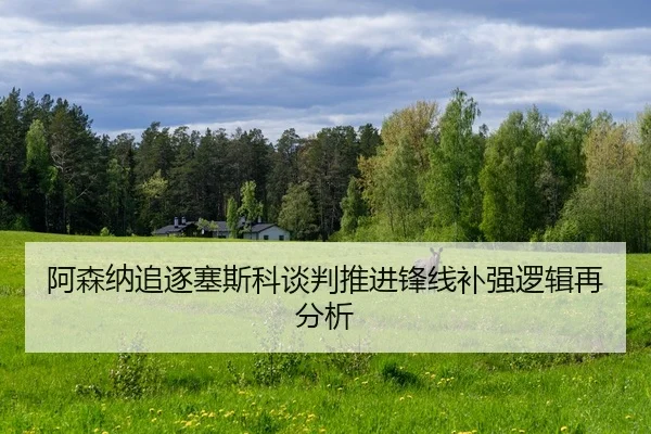 阿森纳追逐塞斯科谈判推进锋线补强逻辑再分析